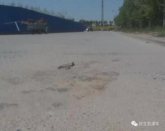 ��Ӫ11��Сѧ����У���������� ˾�����ӹ�ʧ����������