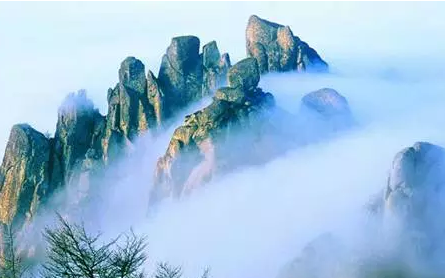 崂山一日游只要130元 游客跟团上了“购物游”的贼船