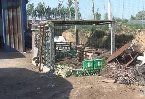 潍坊寿光4岁女童被自家狗咬伤 整个头被咬烂血肉模糊