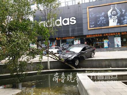 济南：女司机误把油门当刹车险冲进河 绿化树被撞断