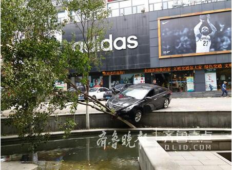 济南：女司机误把油门当刹车险冲进河 绿化树被撞断