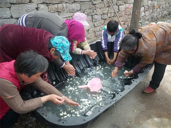 1盆水藏1亿头线虫! 济南核桃树试点“以虫治虫”