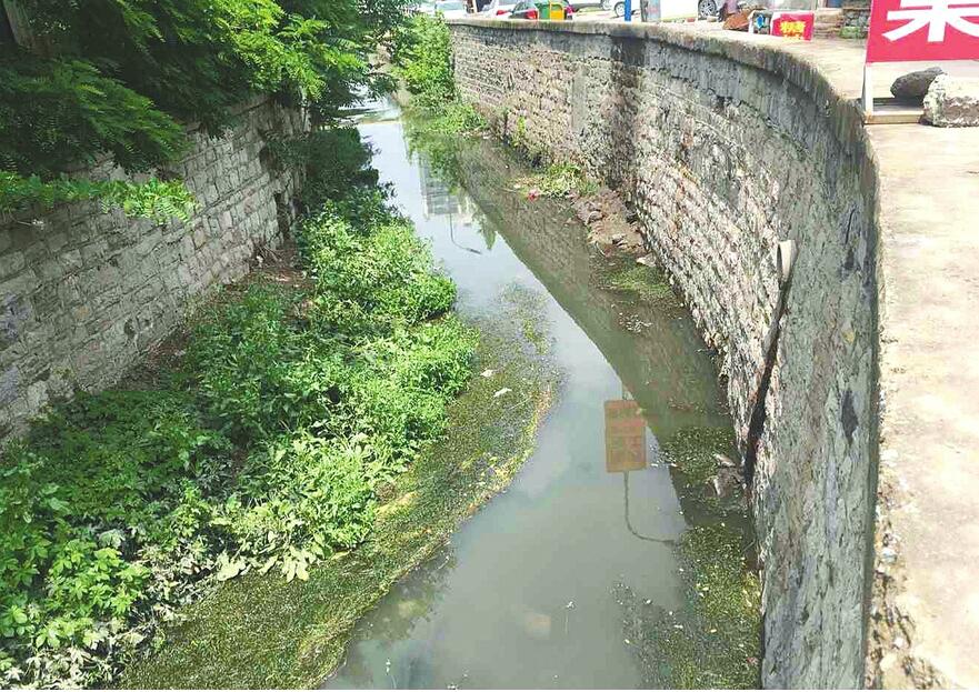 万盛大沟河水污染严重异味明显 严重影响附近居民的生活