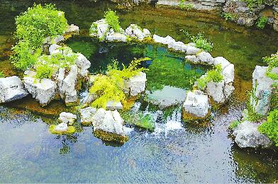 济南：回灌补源天助力 暮春群泉劲欢腾