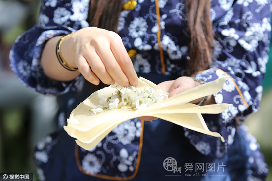 山东日照：甲子山槐花节开幕 槐花飘香惹人醉