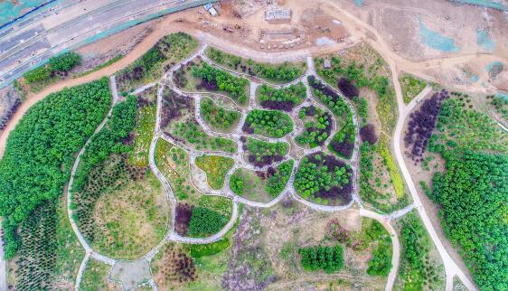 济南卧牛山修复重披绿 昔日矿坑蓄水变成景观湖