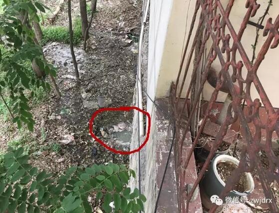 仲景花园小区排污沟污水横流 周围蚊蝇乱飞居民无法开窗