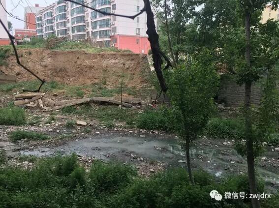 仲景花园小区排污沟污水横流 周围蚊蝇乱飞居民无法开窗