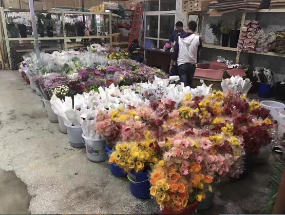 时过一月 济南顺河高架桥下花卉市场搬迁至济泺路