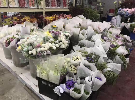 时过一月 济南顺河高架桥下花卉市场搬迁至济泺路