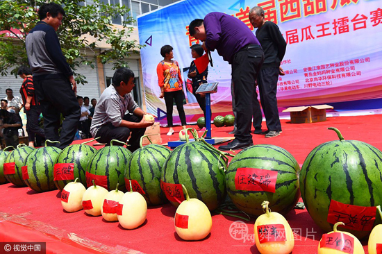 ɽ��Ϋ���ٰ��׽조��������̨�������