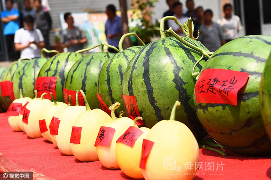 ɽ��Ϋ���ٰ��׽조��������̨�������