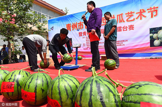 ɽ��Ϋ���ٰ��׽조��������̨�������