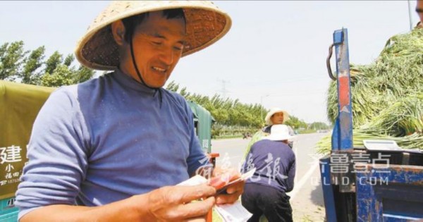 济宁聊城都滞销倒沟里 苍山蒜薹却1斤3块咋卖这么贵