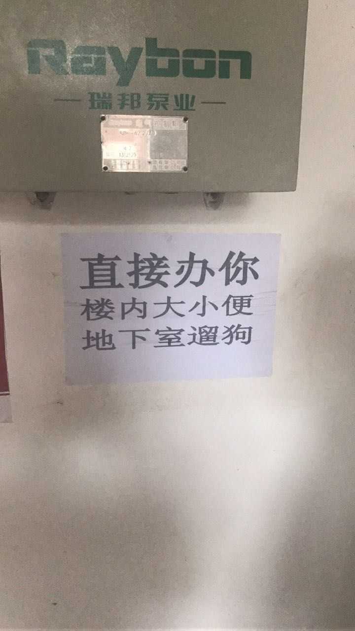 清雅居小区1天10余只狗丧命 疑似被食物毒死