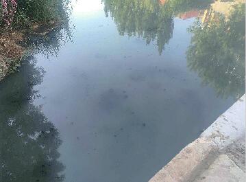 济南兴济河东方红桥附近河底冒污水 附近居民苦不堪言