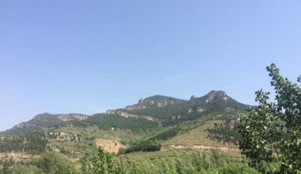 主动对标 提高站位，看南山如何摘掉“老末”帽子