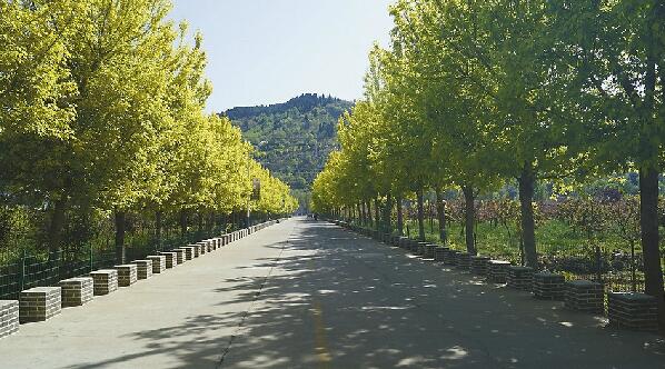 南山拆违将“一竿子插到底” 拒拆违建别墅或将断水断电