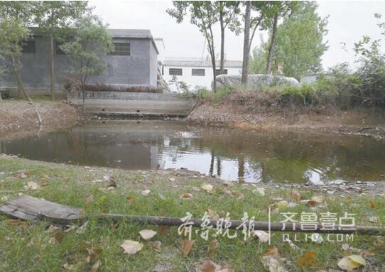 枣庄女生救起落水女孩后溺亡 本来她今年要高考