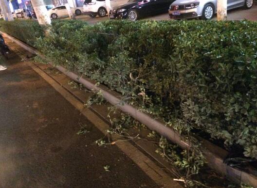 济南一公交车突然失控冲进绿化带 8名乘客受伤