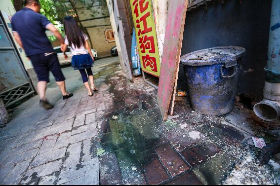维修基金不知去向 永庆街18-3号楼前化粪池堵塞近10年