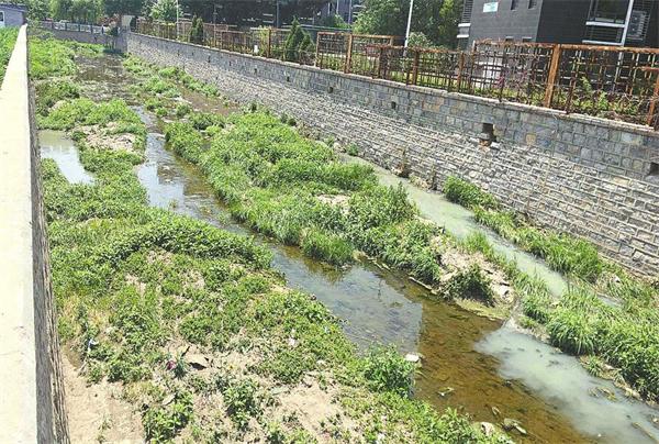 南大明沟路劲御景城小区段河底污水如泉涌 刺鼻臭味弥漫