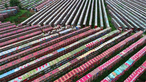 济南市区“藏”着十万养殖笼 密密麻麻堪比麻将牌