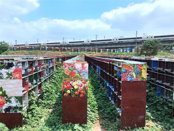 济南市区“藏”着十万养殖笼 密密麻麻堪比麻将牌