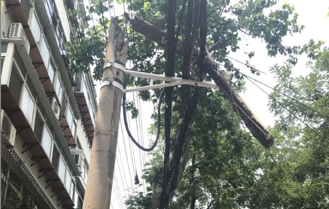 洪苑小区小区道路旁线杆断裂挂树上 年久失修老化