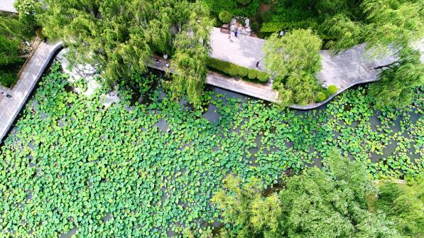 ����������������� �������ְ�Ķ�ɻ�������������