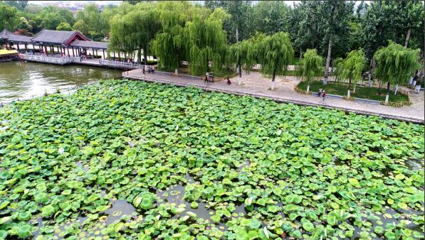 ����������������� �������ְ�Ķ�ɻ�������������