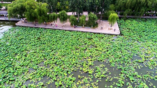 ����������������� �������ְ�Ķ�ɻ�������������