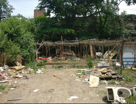 ���ϰ�����԰21��¥��ʮ��ֻ����è������ �����ѽ���