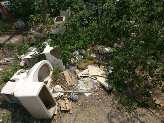 ���ϰ�����԰21��¥��ʮ��ֻ����è������ �����ѽ���