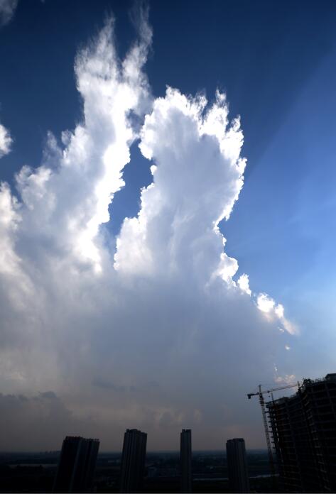 ���Ʊƽ� ����������Ԥ�����Ͻ�������ֲ�����������