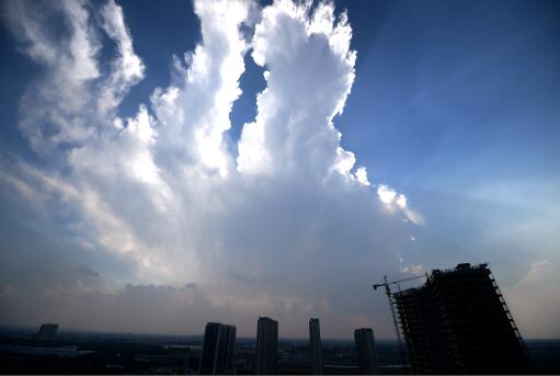 ���Ʊƽ� ����������Ԥ�����Ͻ�������ֲ�����������