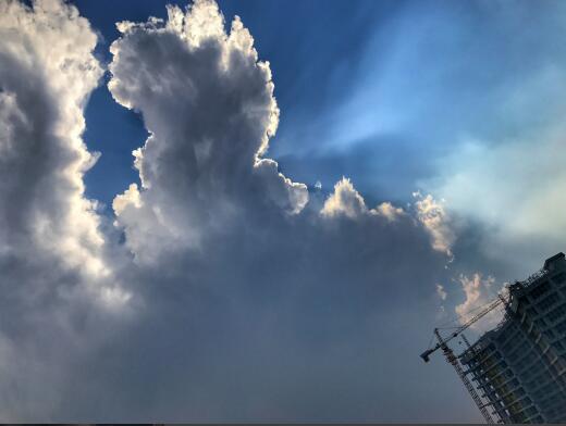 ���Ʊƽ� ����������Ԥ�����Ͻ�������ֲ�����������