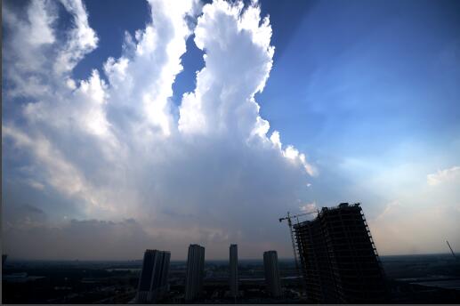 ���Ʊƽ� ����������Ԥ�����Ͻ�������ֲ�����������