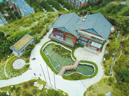 ���Ϻ�ɽɽ���������Υ�� ������������ھ����ҵ