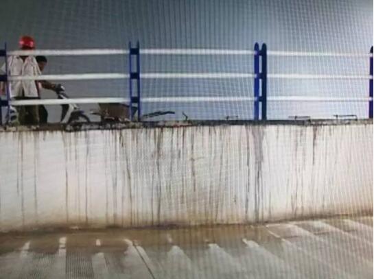 济南一司机下车后被自己的车碾压身亡 下车方便忘拉手刹