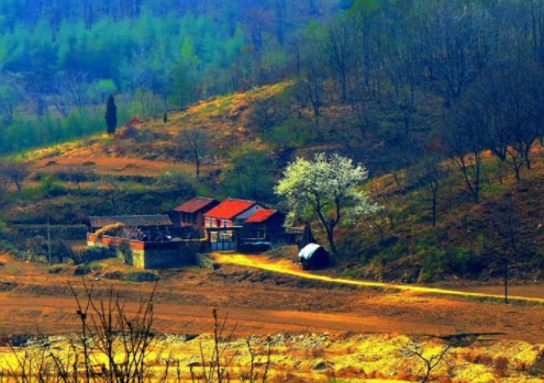 农村综合性改革试点 山东等6省份先行展开