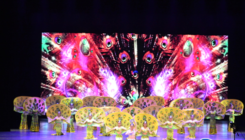 济南各高校闪耀山东省大学生舞蹈大赛