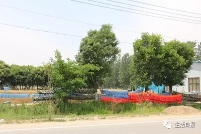 山东淘宝村：从一夜暴富到一件衣服赚1块钱死撑