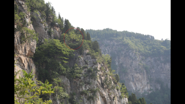 64岁老人被困陡峭山峰 济南南山公安5小时紧急营救