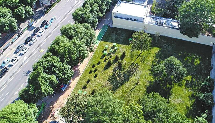 市中区:街头绿地提升品质 楼间花园扮靓社区