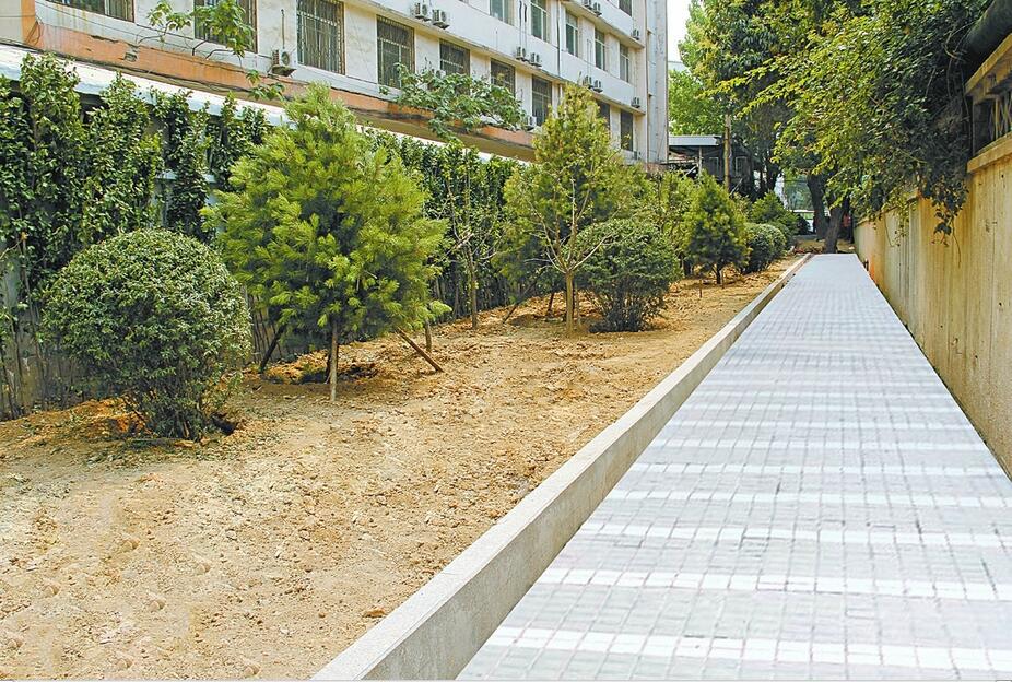 市中区:街头绿地提升品质 楼间花园扮靓社区