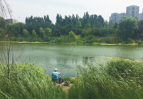 小清河1年多近10起溺亡事故 14公里河道仅7个救生圈