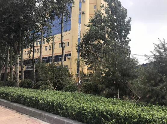 济南将军路违建拆除 40天建成6500平方米沿街花园