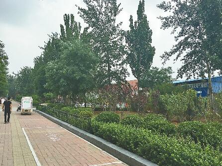 违建拆除月余后变身高大上绿地 将军路居民多了一处“后花园”