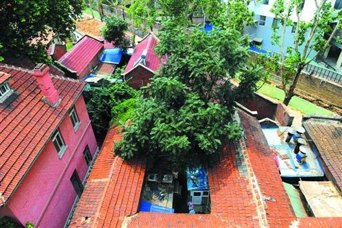 斜马路拆违76岁梨花公馆露真容 五户人家在此居住多年